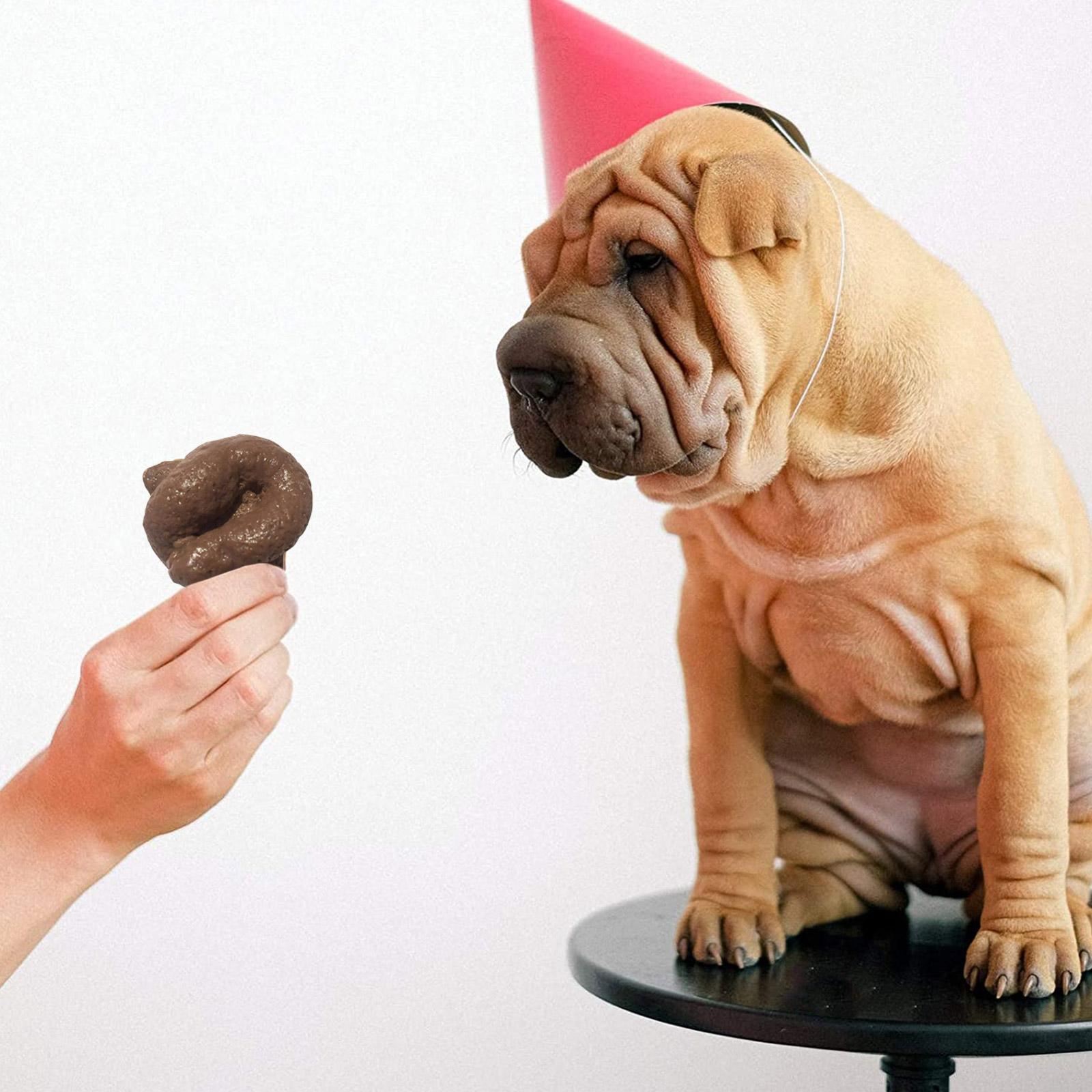 Cacca Finta Realistica in Plas - Fake Poop Gag Gift recensione e prezzo